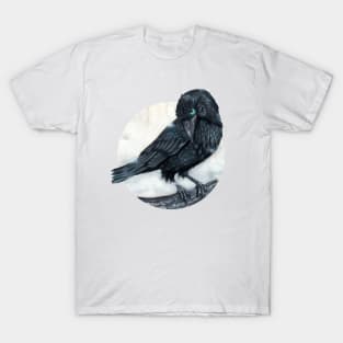 Vampire's Crow in the mist T-Shirt